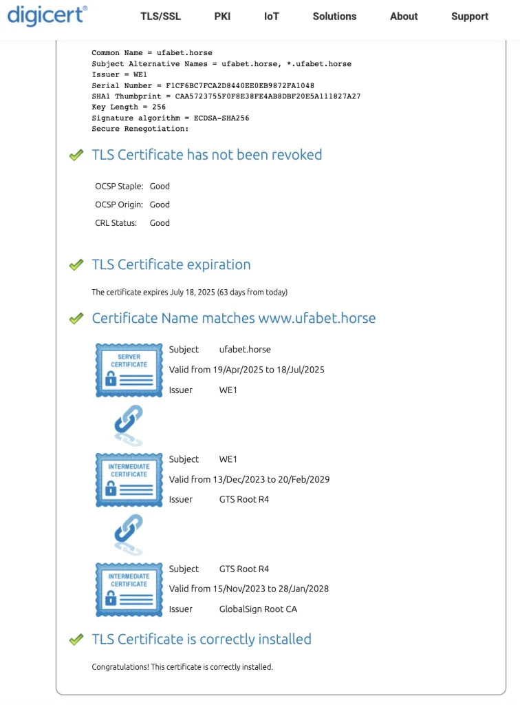 SSL 256 Certificate UFABET อ้างอิงจาก Digicert.com