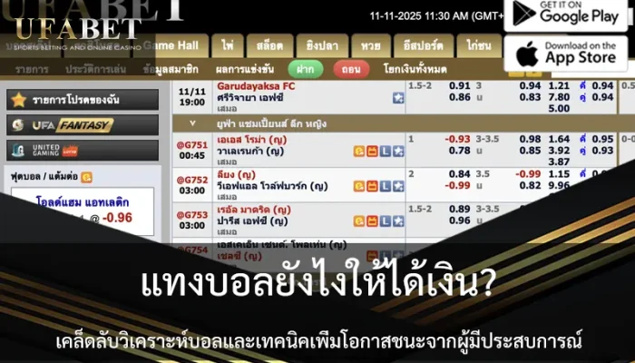 profit-soccer-betting